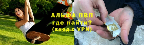 молекула духа Иннополис