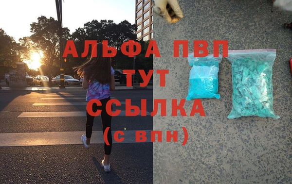 молекула духа Иннополис